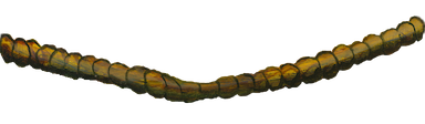 Mergatroid